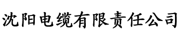 亚洲一区二区三区深田咏美宜电缆厂logo